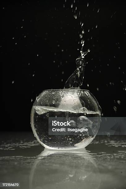 Splash In A Fishbowl Stock Photo - Download Image Now - Fishbowl, Water, Black Background