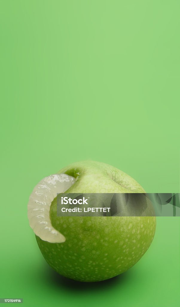 Rotten Apple A big grub or worm eating a tasty green apple Animal Stock Photo