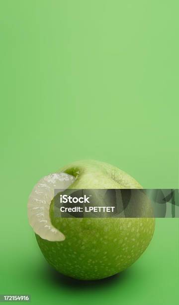 Rotten Apple Stock Photo - Download Image Now - Animal, Apple - Fruit, Damaged