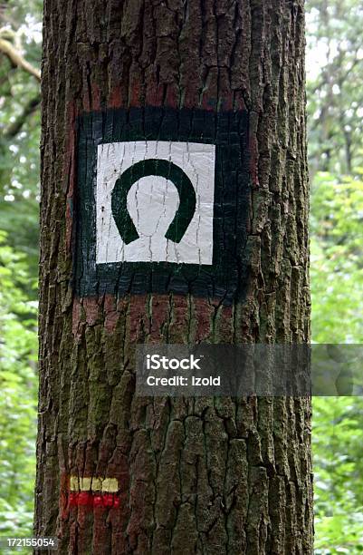 Equestrian Sign Stock Photo - Download Image Now - Domestic Animals, Forest, Horse