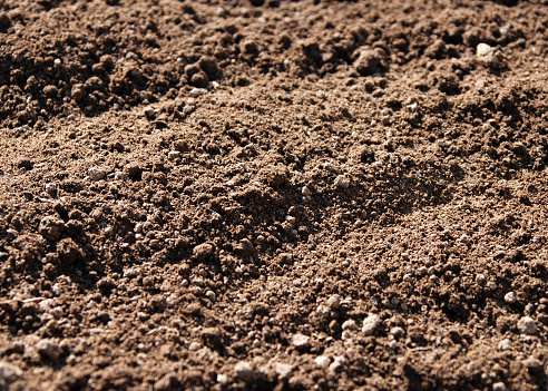 Close-up of top soil illuminated by the afternoon sun. 