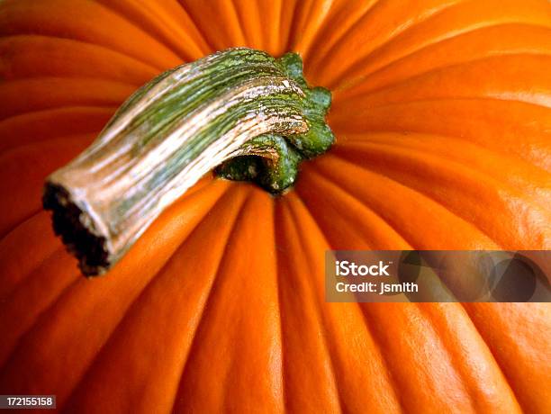 Top De Abóbora - Fotografias de stock e mais imagens de Abóbora-Menina - Cucúrbita - Abóbora-Menina - Cucúrbita, Assustador, Caule de planta