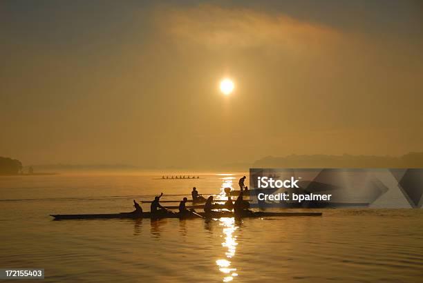 Tripulação Prática Ao Amanhecer - Fotografias de stock e mais imagens de Remar - Remar, Equipa Desportiva, Trabalho de Equipa