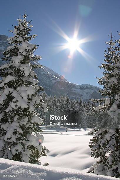 Snowy Mountains - Fotografie stock e altre immagini di Albero - Albero, Alpi, Alpi Bernesi