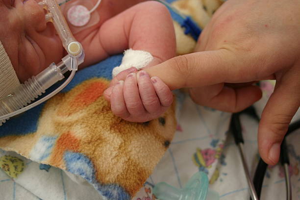 infant in hospital a premature infant in the nicu premature stock pictures, royalty-free photos & images