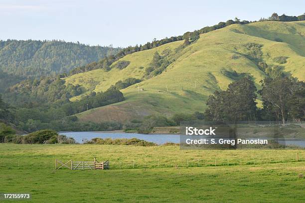 Rurale California - Fotografie stock e altre immagini di Fiume Russian - Fiume Russian, California, Paesaggi