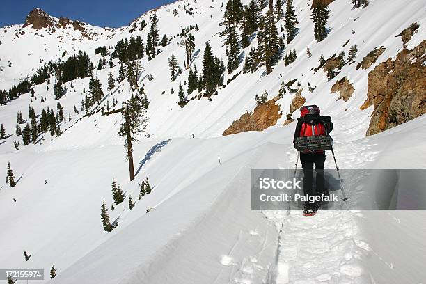 Snowshoer - Fotografias de stock e mais imagens de Inverno - Inverno, Monte Lassen, Adulto