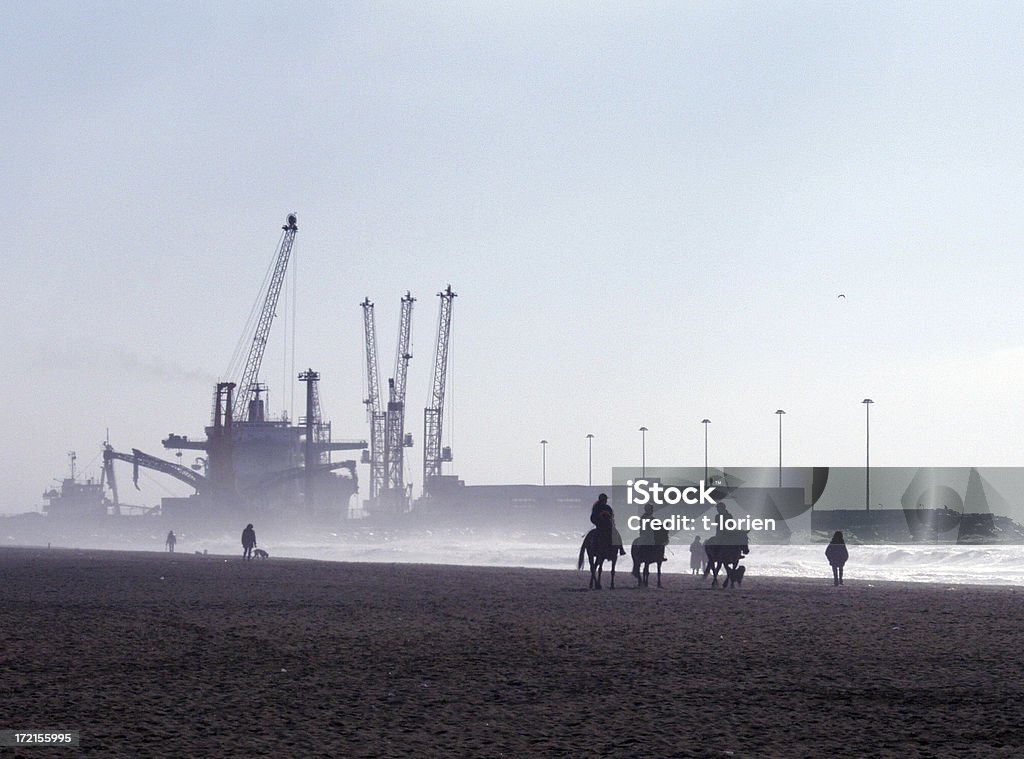 Industrial Beach w. una niebla - Foto de stock de Caballo - Familia del caballo libre de derechos
