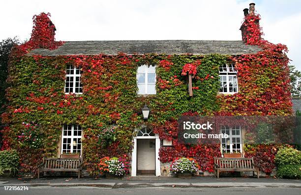 Folhas Coloridas Cobrir Um Edifício - Fotografias de stock e mais imagens de Cobrir - Cobrir, Hera - Trepadeira, Lancil