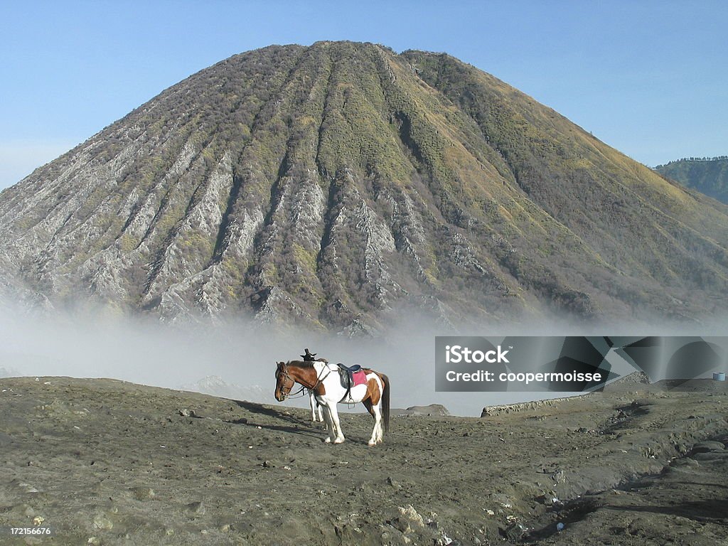 Pinto em Monte Bromo vulcão - Foto de stock de Probolinggo royalty-free