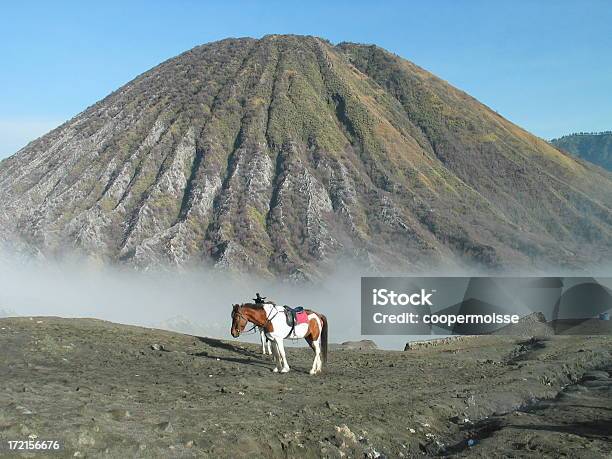 Foto de Pinto Em Monte Bromo Vulcão e mais fotos de stock de Probolinggo - Probolinggo, Animal, Areia