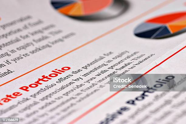 Investment Portfolio Stock Photo - Download Image Now - Business, Chart, Concepts