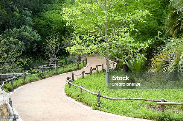 Foto de Caminhada Em Trilha e mais fotos de stock de Ajardinado - Ajardinado, Beleza, Bosque - Floresta