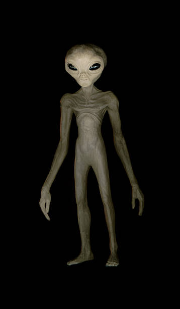 Alien 01 A full body shot of a scary alien. grey alien stock pictures, royalty-free photos & images