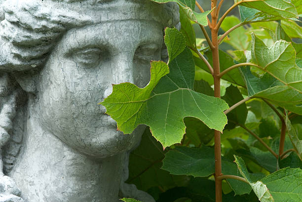 bashful estatua - sculpture women fine art statue marble fotografías e imágenes de stock