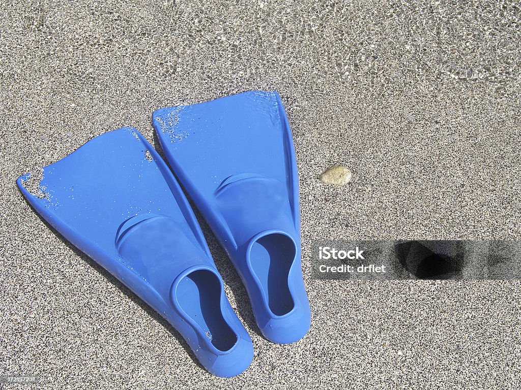 Embarrancado Flippers (2 - Foto de stock de Agua libre de derechos