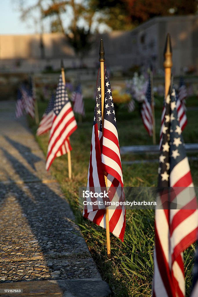 Der Veterans Day - Lizenzfrei Amerikanische Flagge Stock-Foto