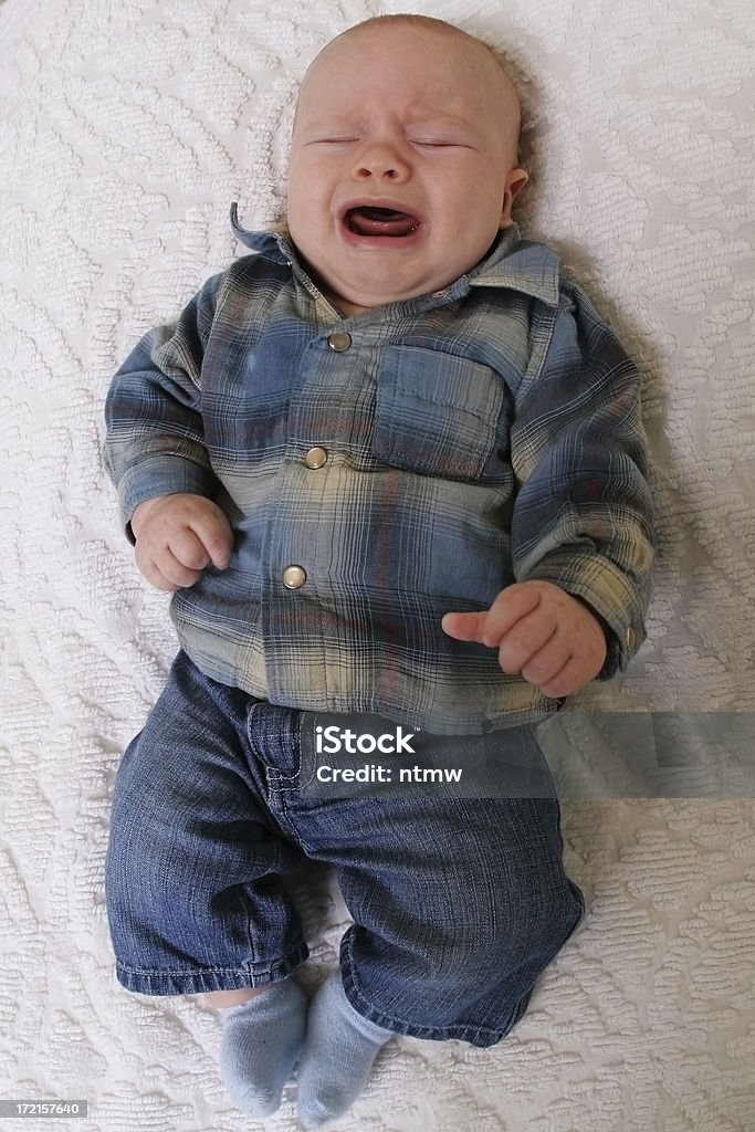 Baby Face Agricultural Fair Stock Photo