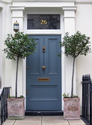 Blue front door with planters (London)