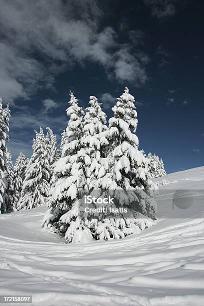 Snowmantel Stockfoto und mehr Bilder von Baum - Baum, Berg, Fotografie