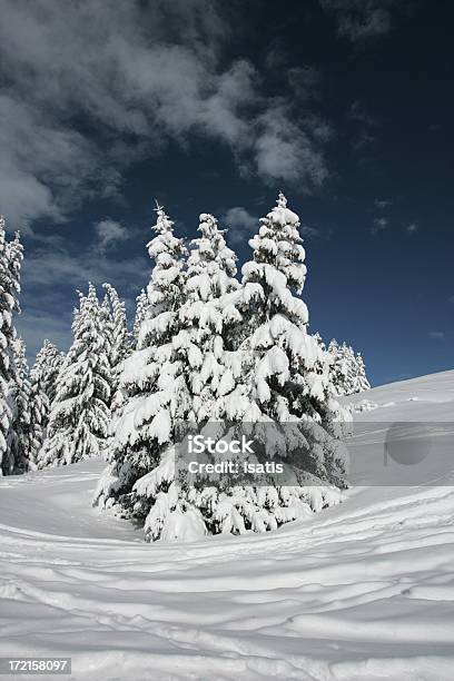 Abrigo De Nieve Foto de stock y más banco de imágenes de Abrigo - Abrigo, Aire libre, Blanco - Color