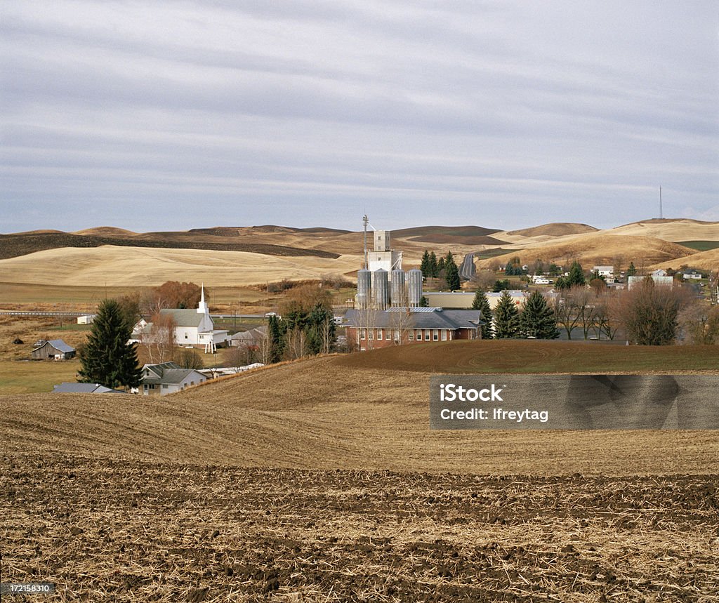 Steptoe, Wschodniej Waszyngton, Stany Zjednoczone Ameryki - Zbiór zdjęć royalty-free (Rolnictwo)