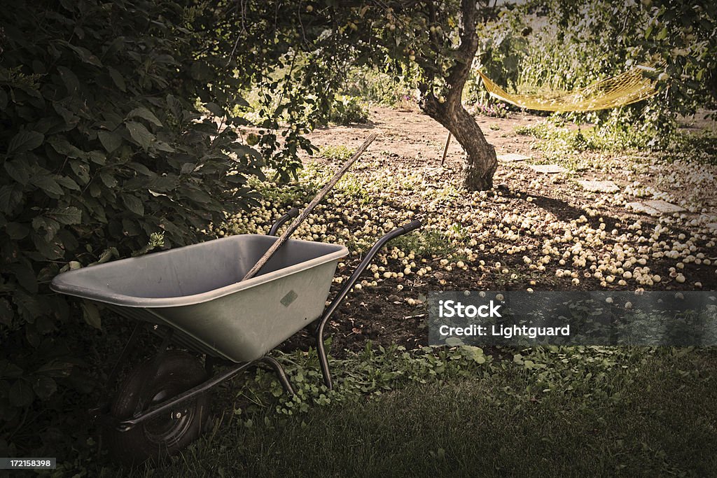 Otoño la carretilla - Foto de stock de Aire libre libre de derechos