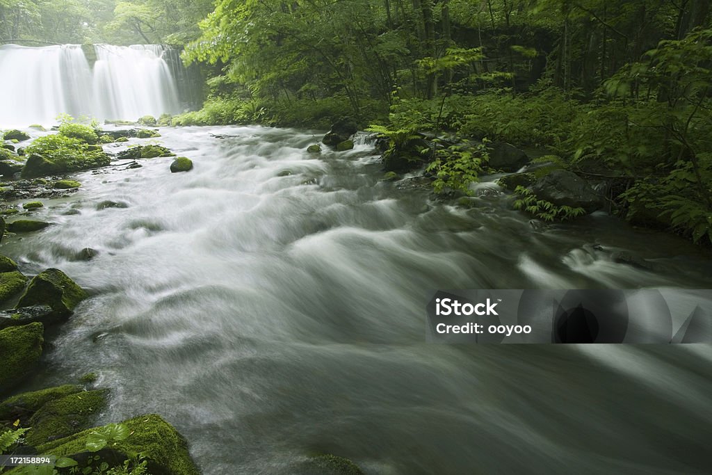 Wasserfall und den Fluss - Lizenzfrei Bach Stock-Foto