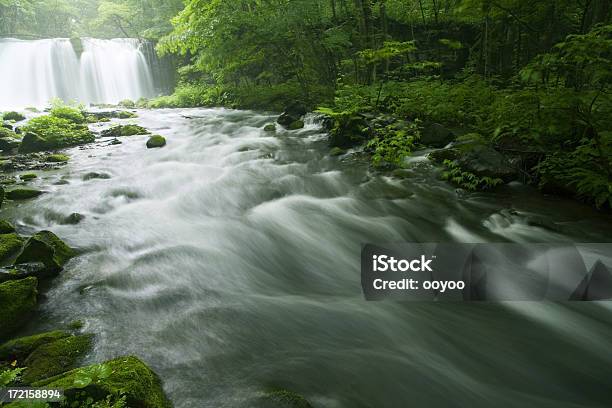 Wasserfall Und Den Fluss Stockfoto und mehr Bilder von Bach - Bach, Baum, Berg