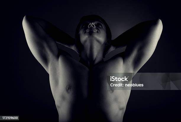 Desnudos Torso De Hombre Foto de stock y más banco de imágenes de Abdomen - Abdomen, Abdomen animal, Abdomen humano