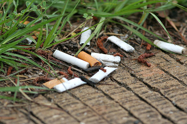 cigarette butts - mégot de cigarette photos et images de collection