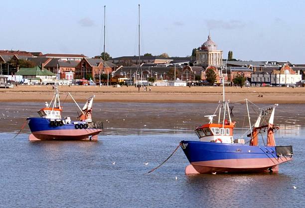 istock Fishing boats at low tide on a nice day 172160169