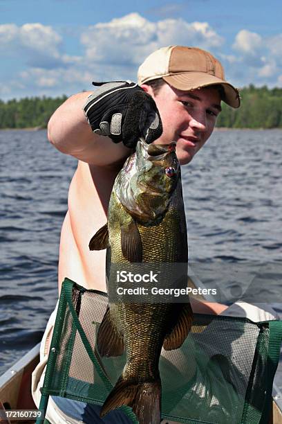 Boundary Waters Trophy Schwarzbarsche Stockfoto und mehr Bilder von Schwarzbarsch - Schwarzbarsch, Angel, Angeln