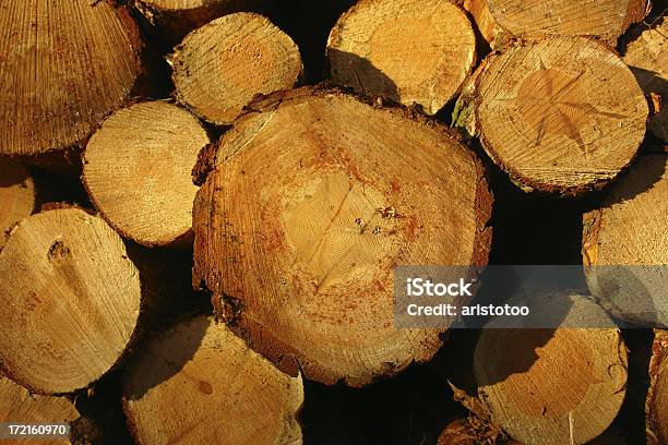Madera Foto de stock y más banco de imágenes de Almacén de madera - Almacén de madera, Biomasa - Energía renovable, Corte transversal