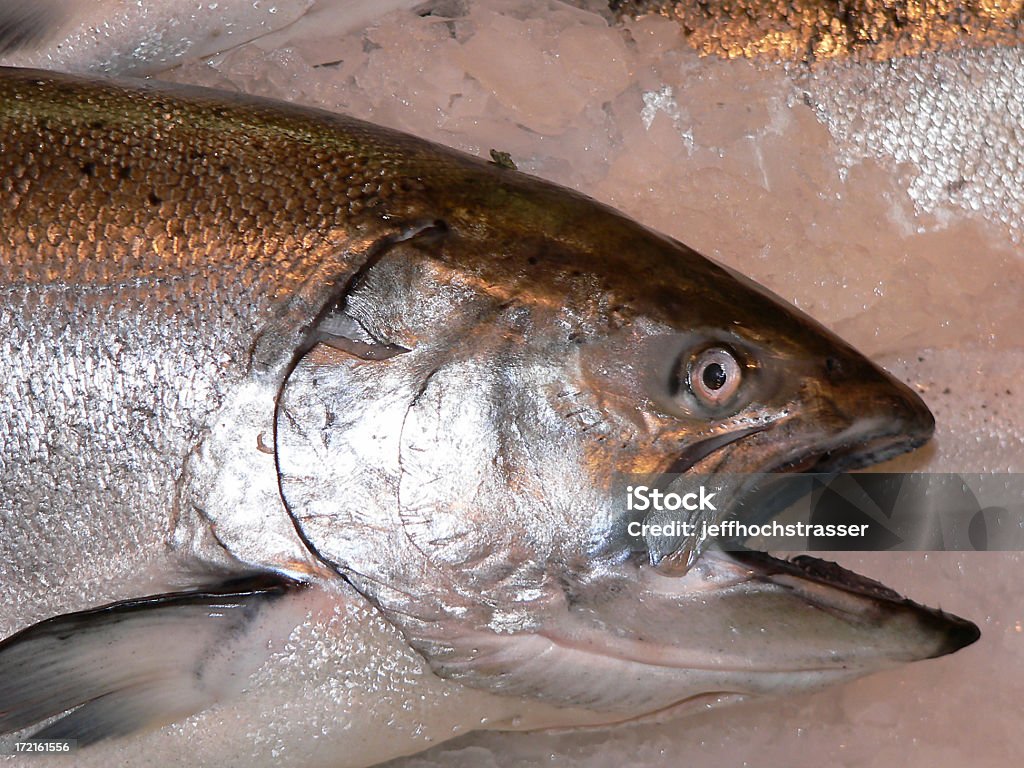 Pescado sobre hielo - Foto de stock de Agua libre de derechos