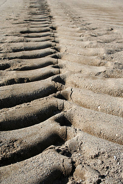 istock Close up tractor marks in the sand 172161570