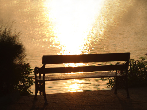 Empty bench at park