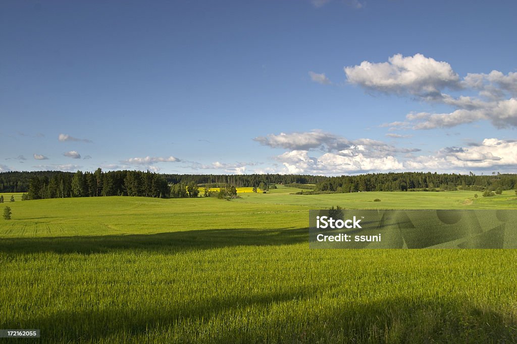 L'agricoltura è parte della natura - Foto stock royalty-free di Campo
