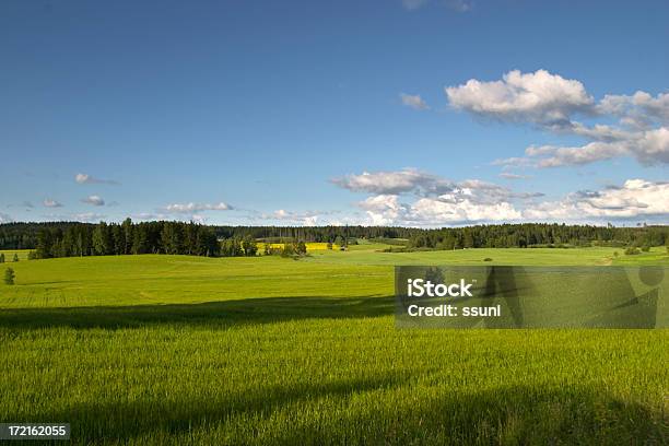 Lagricoltura È Parte Della Natura - Fotografie stock e altre immagini di Campo - Campo, Finlandia, Blu