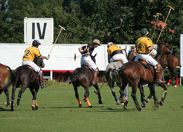 istock Polo tournament 172162369