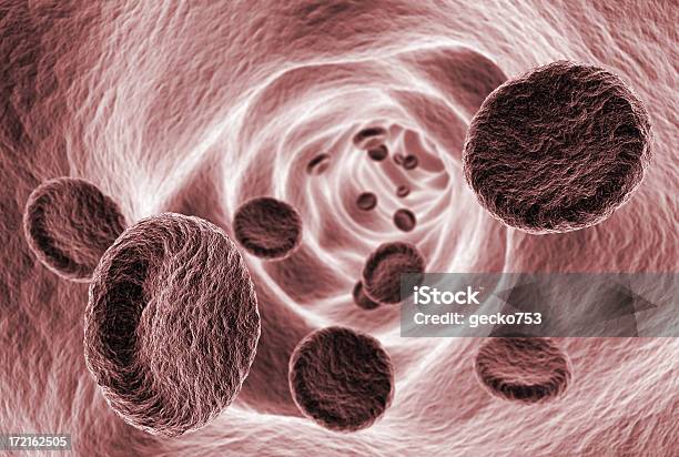 Vaso Sanguíneo - Fotografias de stock e mais imagens de Célula sanguínea - Célula sanguínea, Sangue, Artéria Humana