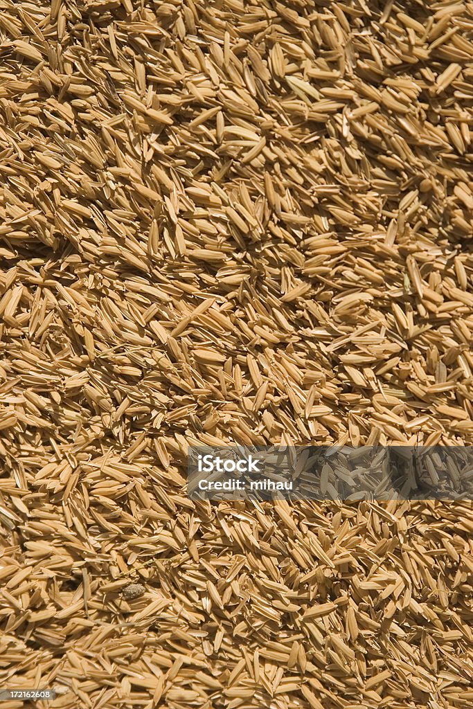 Cascas de arroz - Foto de stock de Arroz Basmati royalty-free