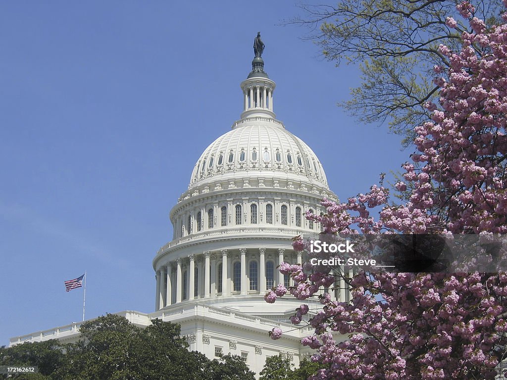 Capitol Capitol Building in Washington DC American Culture Stock Photo