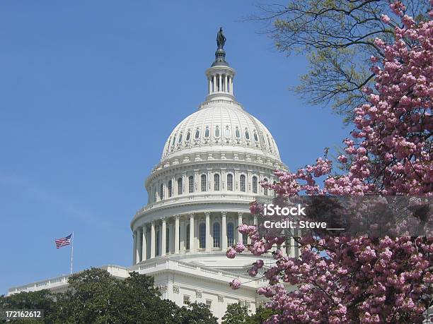 Capitol Stock Photo - Download Image Now - American Culture, Authority, Blossom