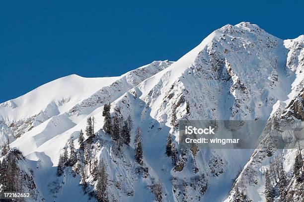 Neue Schnee Iii Stockfoto und mehr Bilder von Alpen - Alpen, Aufwachen, Baum