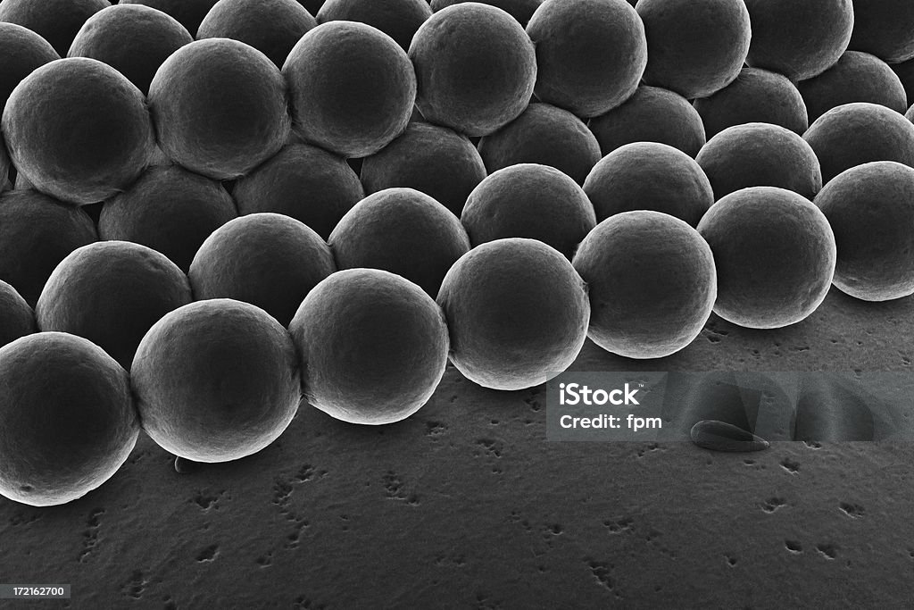 전자 현미경 - 로열티 프리 전자 현미경 스톡 사진