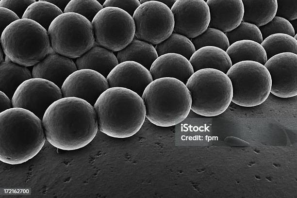 전자 현미경 전자 현미경에 대한 스톡 사진 및 기타 이미지 - 전자 현미경, 원자, 3차원 형태
