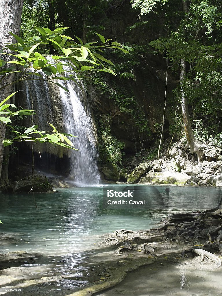 Foresta pluviale e cascata - Foto stock royalty-free di Acqua