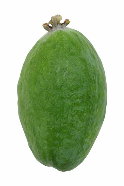 Feijoa A feijoa, isolated on white.  pineapple guava stock pictures, royalty-free photos & images