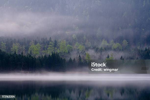 Foggy Bäumen Stockfoto und mehr Bilder von Ahorn - Ahorn, Alpen, Ast - Pflanzenbestandteil